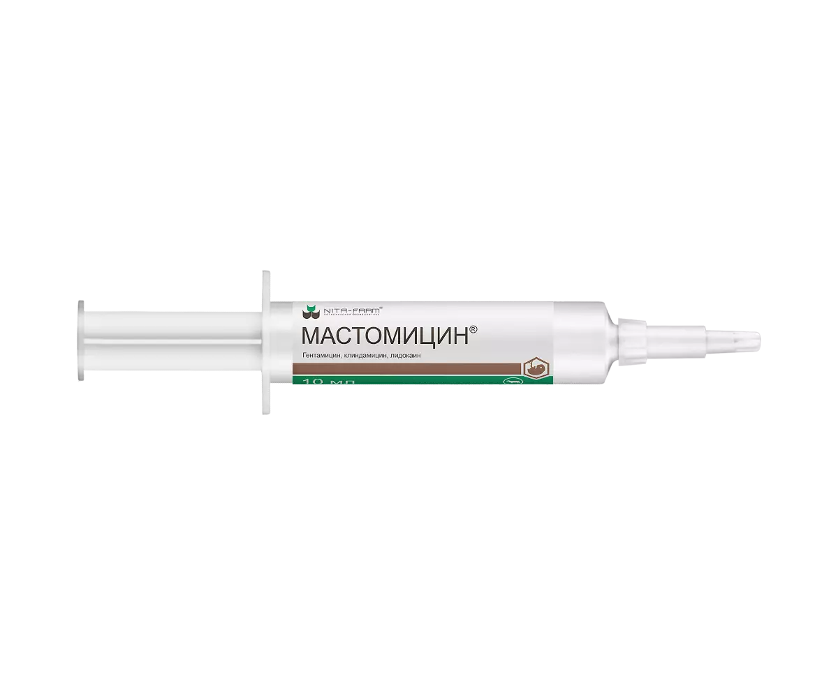 Симптомы мастита у козы. Лечение болезни