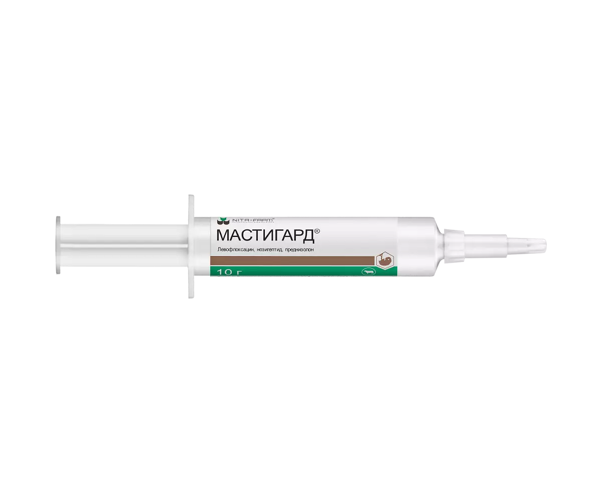 Методы лечения мастита у коров